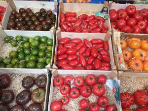 トマトをおいしく食べよう！種類と特徴、おすすめの食べ方をご紹介
