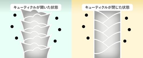 ブラックデュアルトリートメントは熱反応性毛髪ケア素材”エルカラクトン”配合。キューティクルを閉じ、色をしっかり閉じ込める。