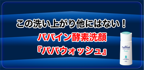 パパウォッシュ（イメージ）